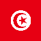 Tunisian virtual participant